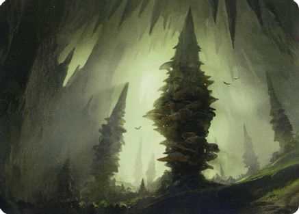 Forest (55/81) Art Card (ASAFR-055) - Art Series: Adventures in the Forgotten Realms