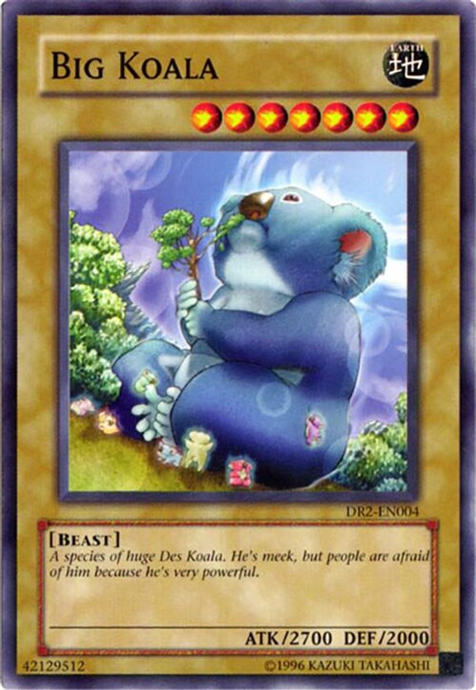 Big Koala (DR2-EN004) - Common