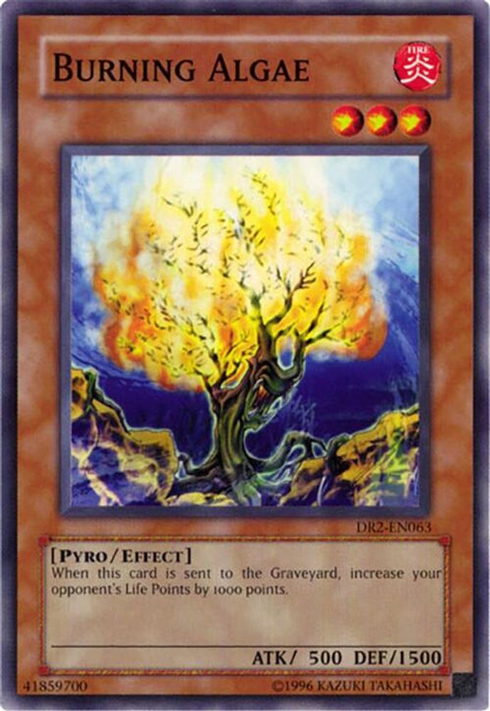 Burning Algae (DR2-EN063) - Common