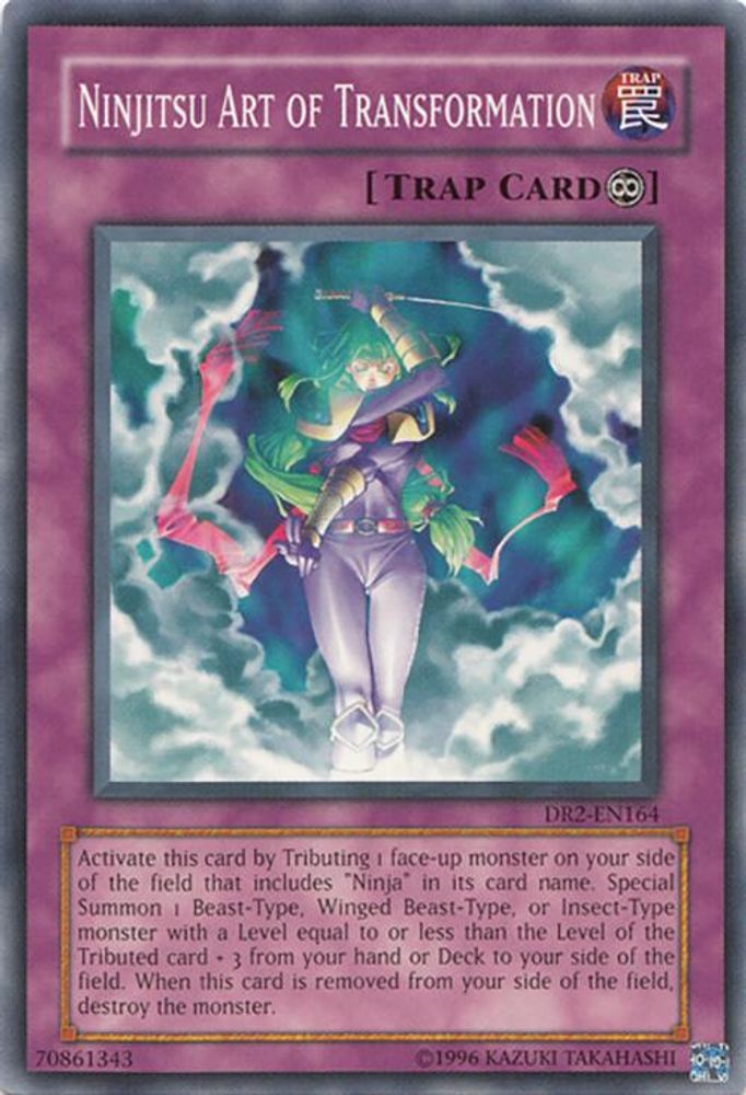 Ninjitsu Art of Transformation (DR2-EN164) - Common
