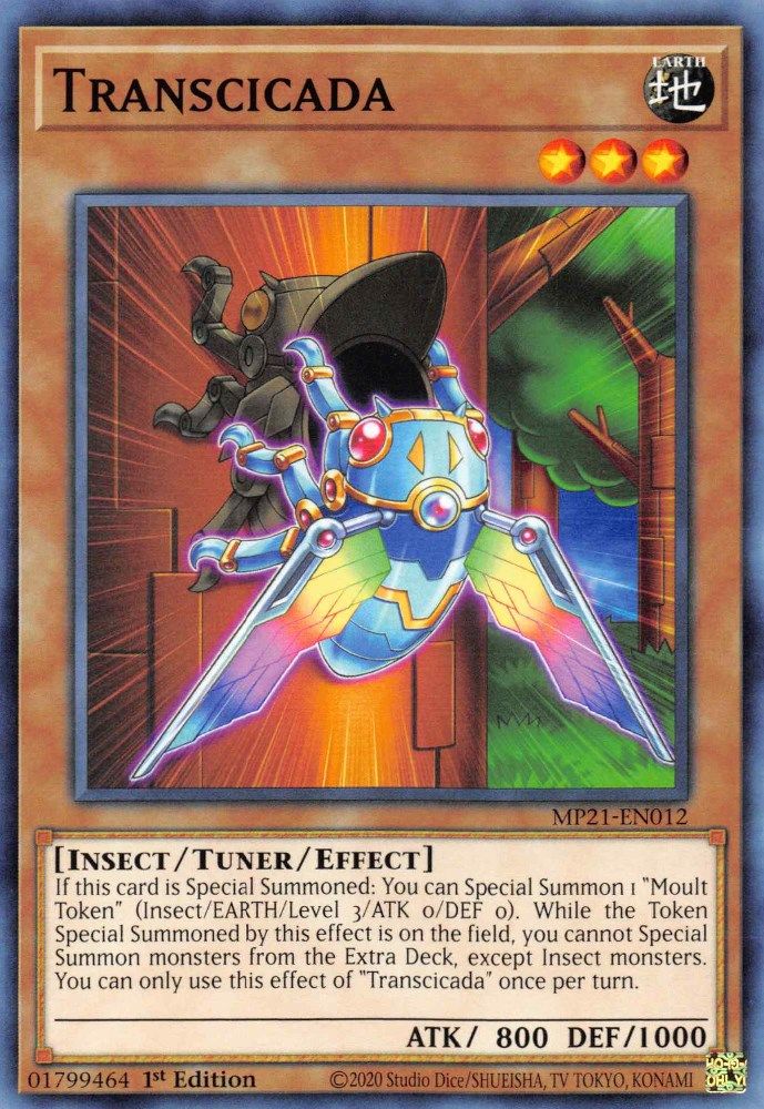 Transcicada (MP21-EN012) - Common