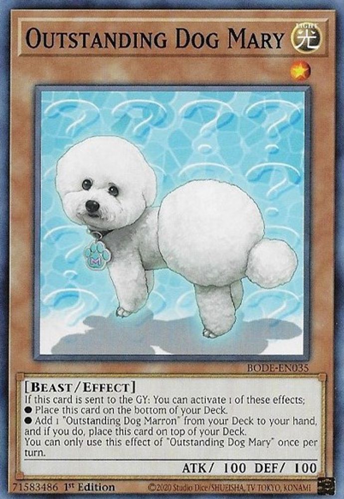 Chien exceptionnel Mary [BODE-EN035] Commun 