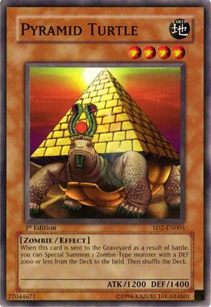 Tortue pyramidale [SD2-EN005] Commune 