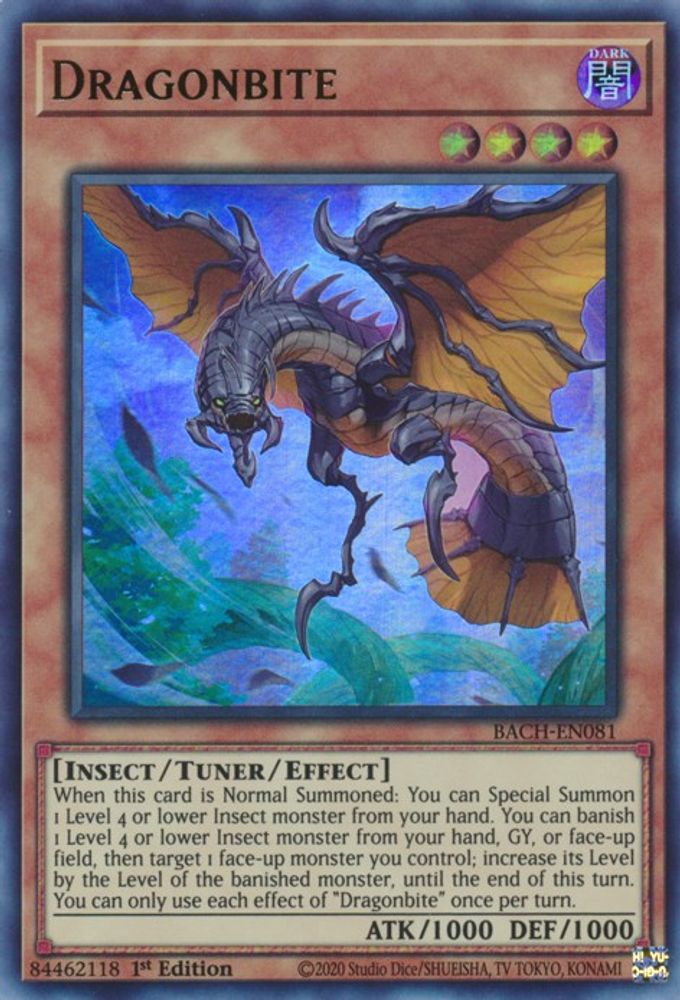 Morsure de dragon [BACH-EN081] Ultra rare 
