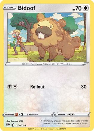 Bidoof 120  - Common