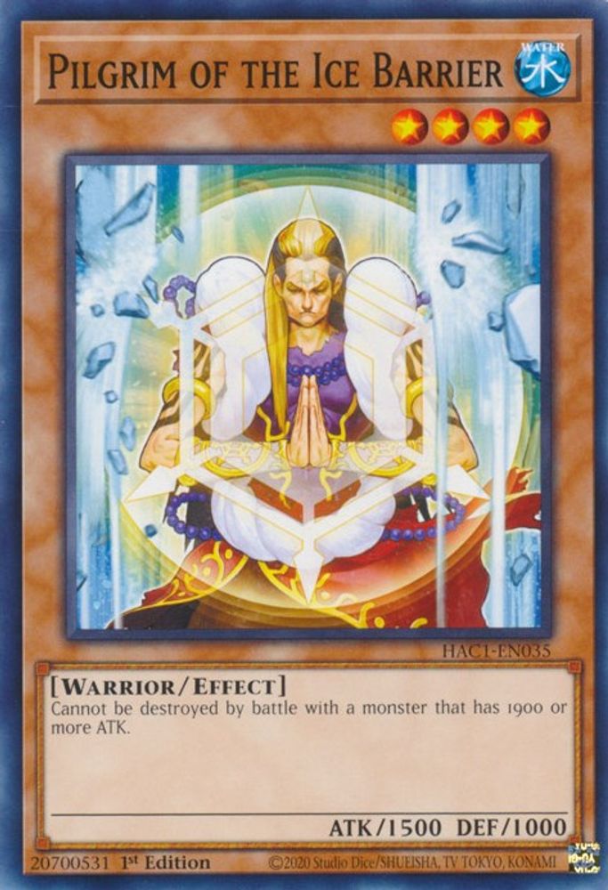 Pilgrim of the Ice Barrier (HAC1-EN035) - Common
