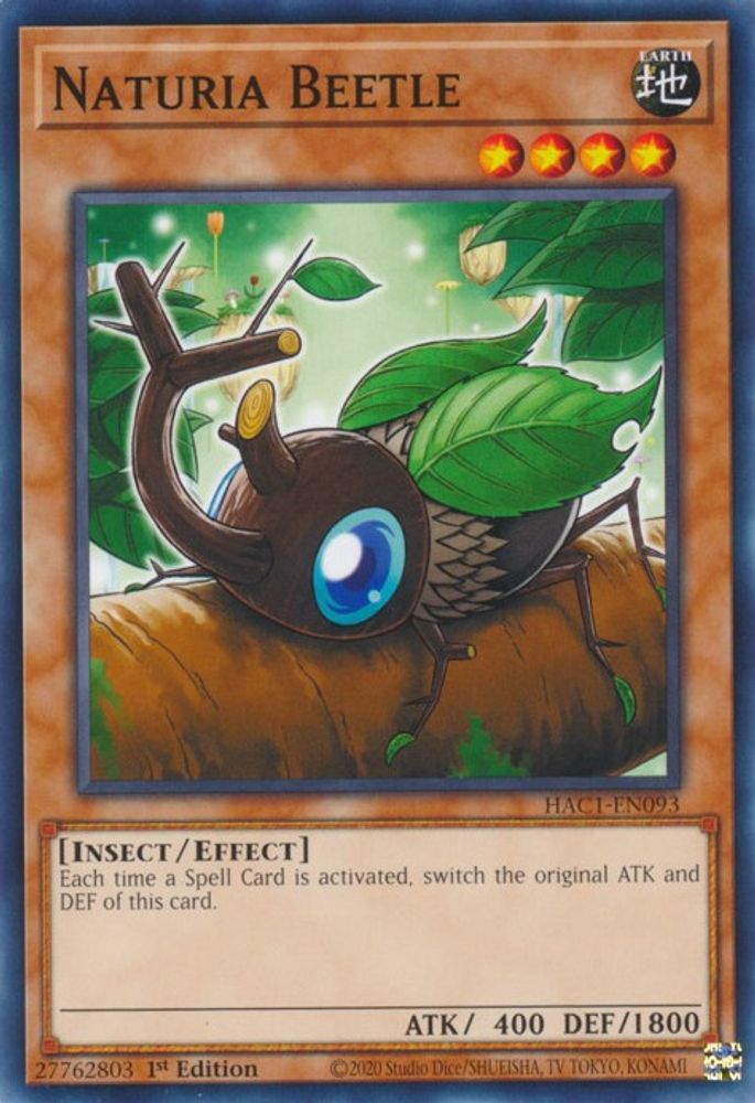 Naturia Beetle (HAC1-EN093) - Common