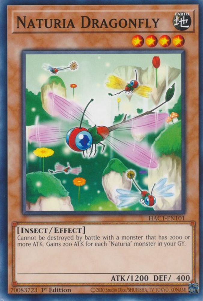 Libellule Naturia [HAC1-EN101] Commune 