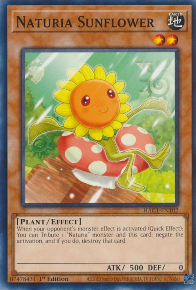 Naturia Sunflower (HAC1-EN102) - Common