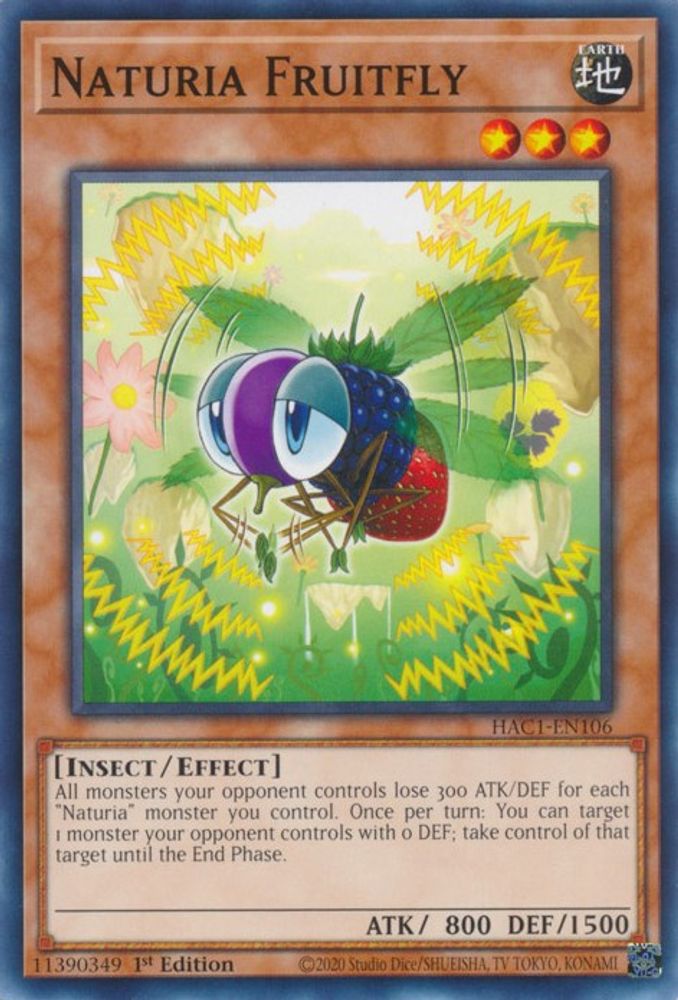 Naturia Fruitfly (HAC1-EN106) - Common