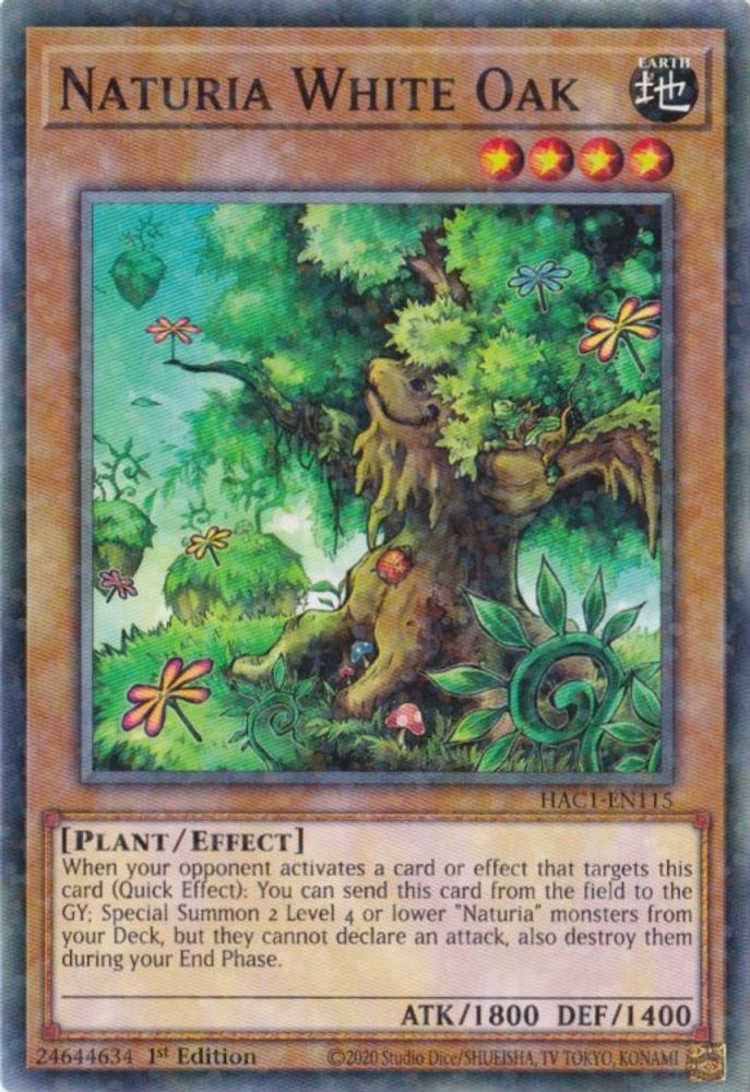 Naturia White Oak (Duel Terminal) (HAC1-EN115) - Duel Terminal Technology Common