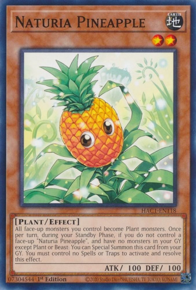 Ananas Naturia [HAC1-EN118] Commun 