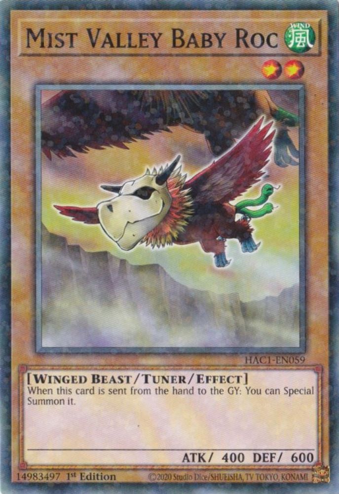 Baby Roc de Mist Valley (Duel Terminal) [HAC1-EN059] Commun 