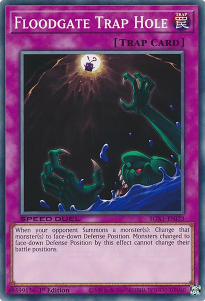 Floodgate Trap Hole (SGX1-ENI23) - Common