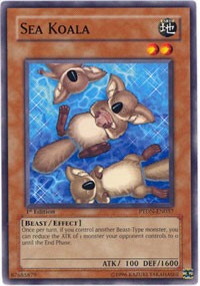 Sea Koala (PTDN-EN037) - Common