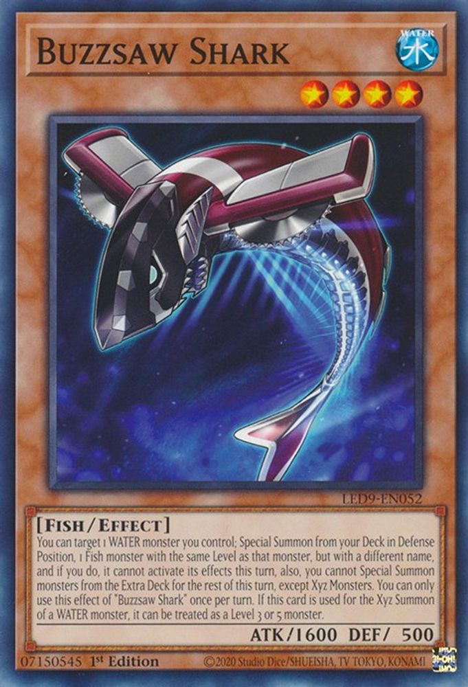 Buzzsaw Shark (LED9-EN052) - Common