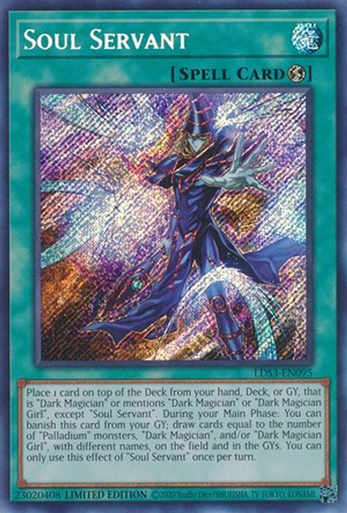 Serviteur de l'âme [LDS3-EN095] Secret Rare 