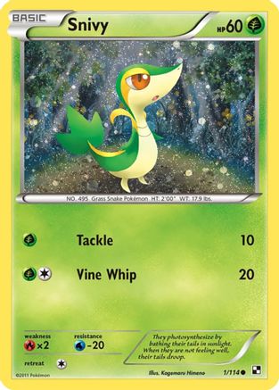 Snivy (Cosmos Holo) 001/114  - Holofoil - Promo