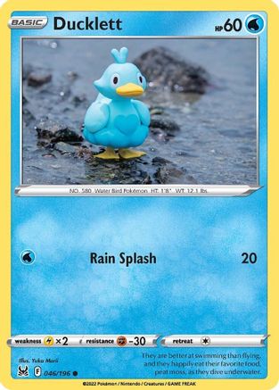 Ducklett 046  - Common