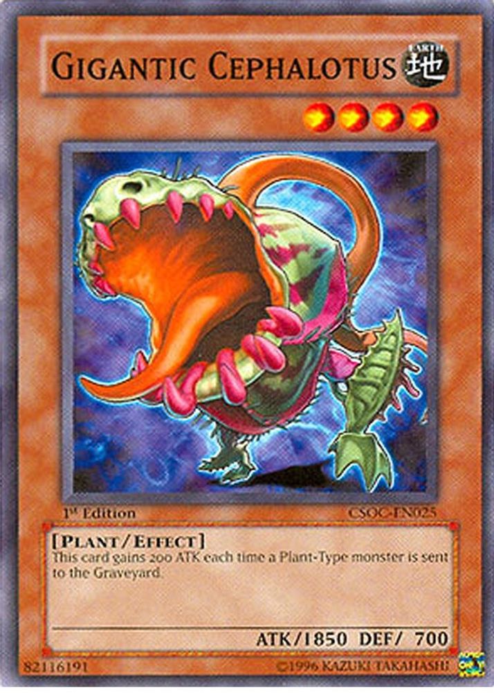 Gigantic Cephalotus (CSOC-EN025) - Common