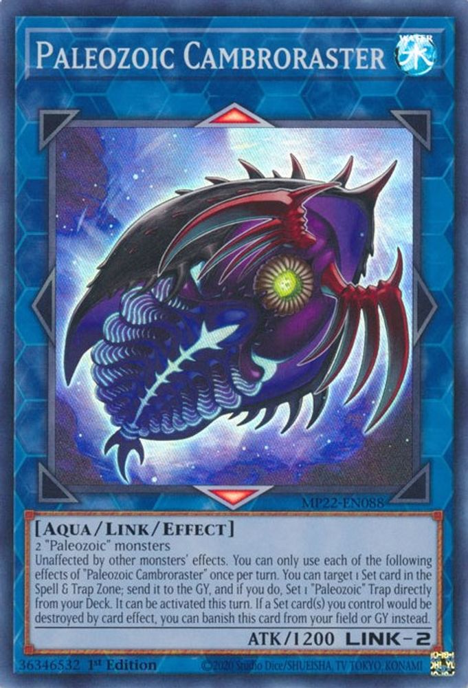 Paleozoic Cambroraster (MP22-EN088) - Super Rare
