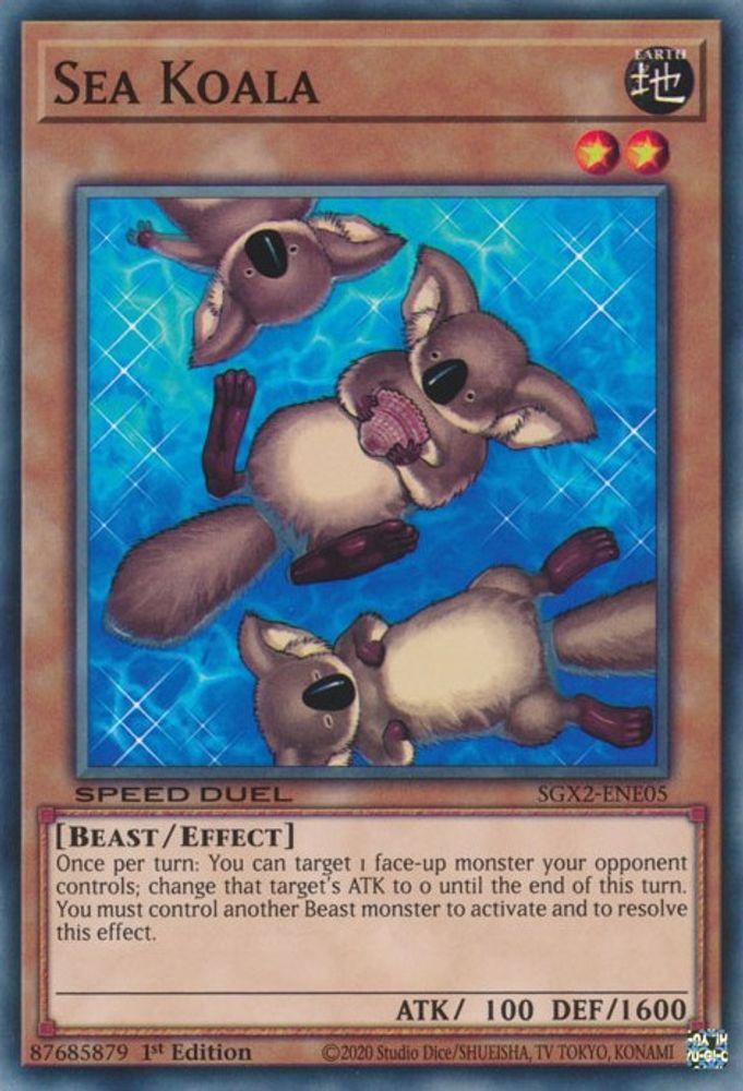 Koala de mer [SGX2-ENE05] Commun 