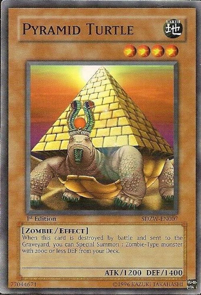 Tortue pyramidale [SDZW-EN007] Commune 