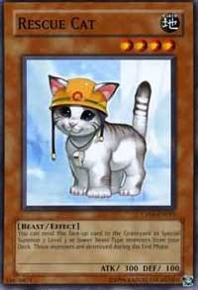 Rescue Cat (CP05-EN015) - Common