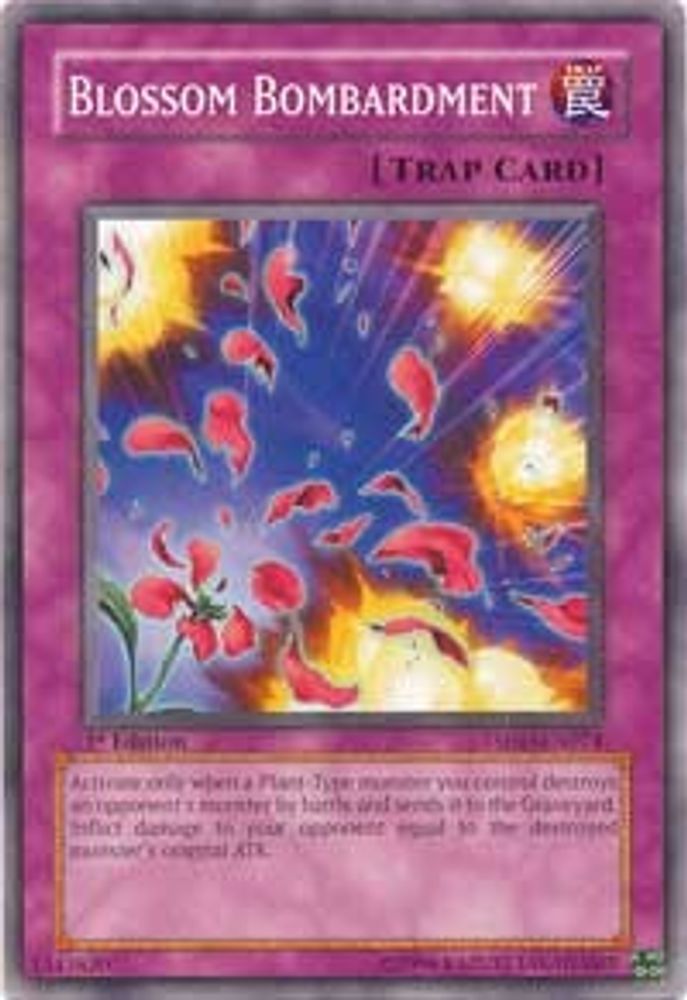 Bombardement de fleurs [TSHD-EN074] Commun 