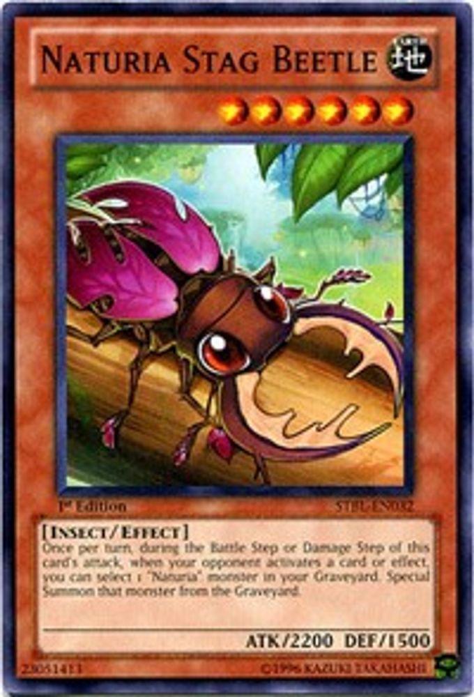 Naturia Stag Beetle (STBL-EN032) - Common