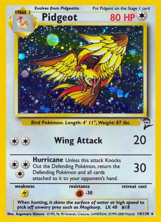 Pidgeot 014  - Holofoil - Holo Rare