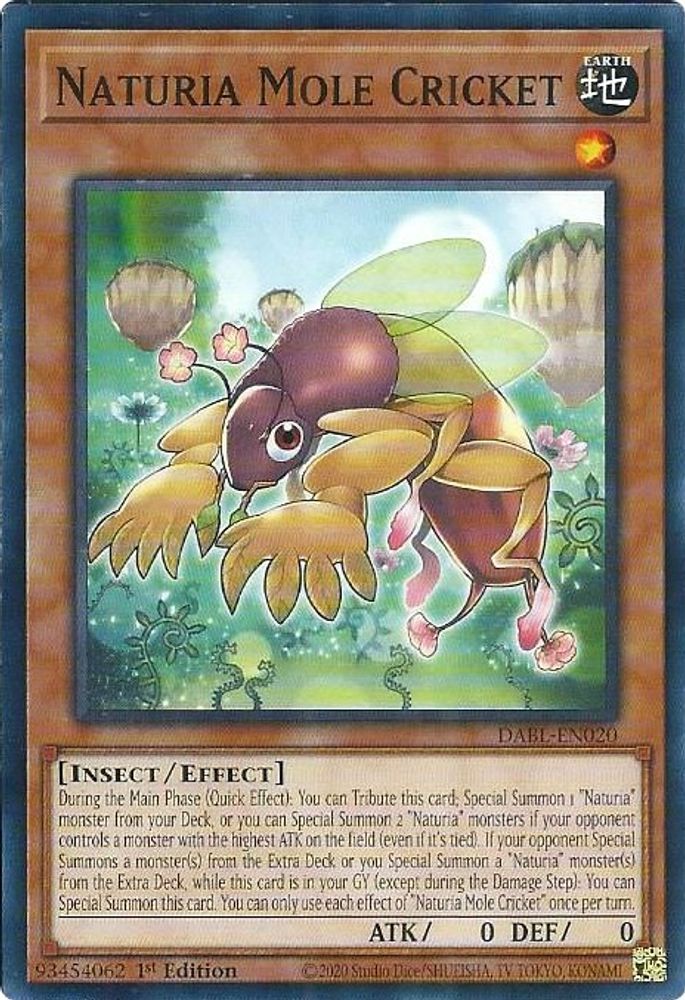 Naturia Mole Cricket (DABL-EN020) - Common