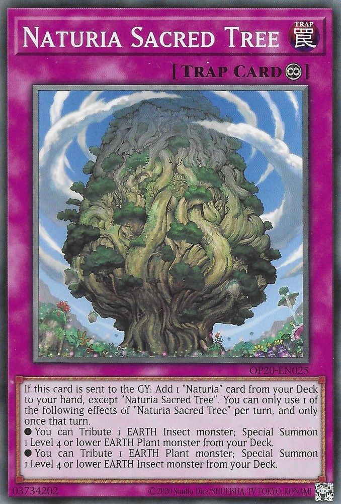 Arbre sacré Naturia [OP20-EN025] Commun 