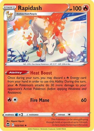 Rapidash 022  - Holofoil - Holo Rare
