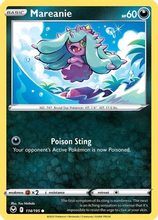 Mareanie 114  - Common