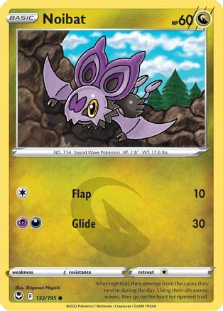 Noibat 132  - Common