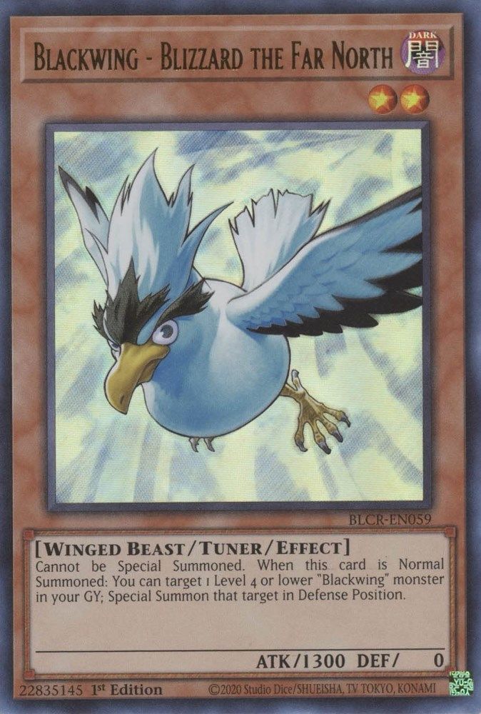 Blackwing - Blizzard le Grand Nord [BLCR-EN059] Ultra Rare 