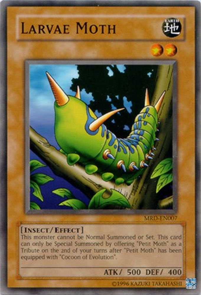 Larvae Moth (MRD-EN007) - Common