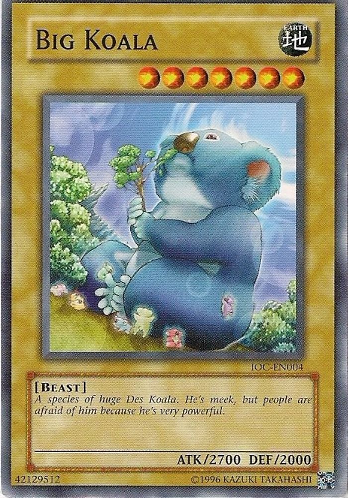 Big Koala (IOC-EN004) - Common
