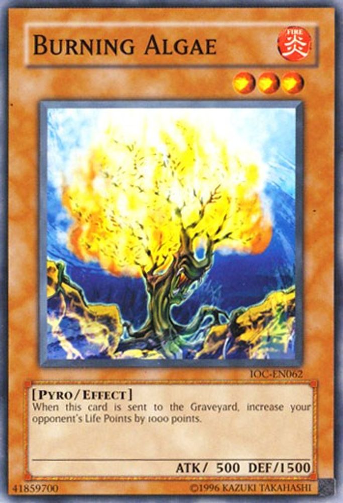 Burning Algae (IOC-EN062) - Common
