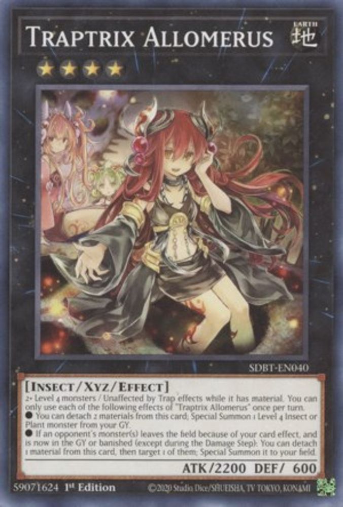 Traptrix Allomerus (SDBT-EN040) - Common