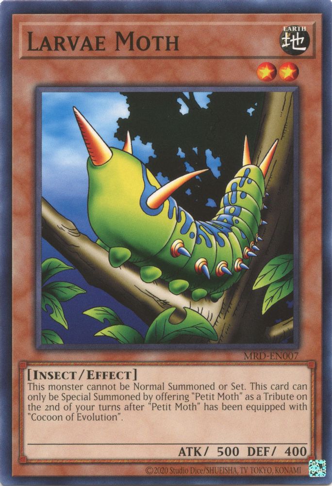 Larvae Moth (MRD-EN007) - Common
