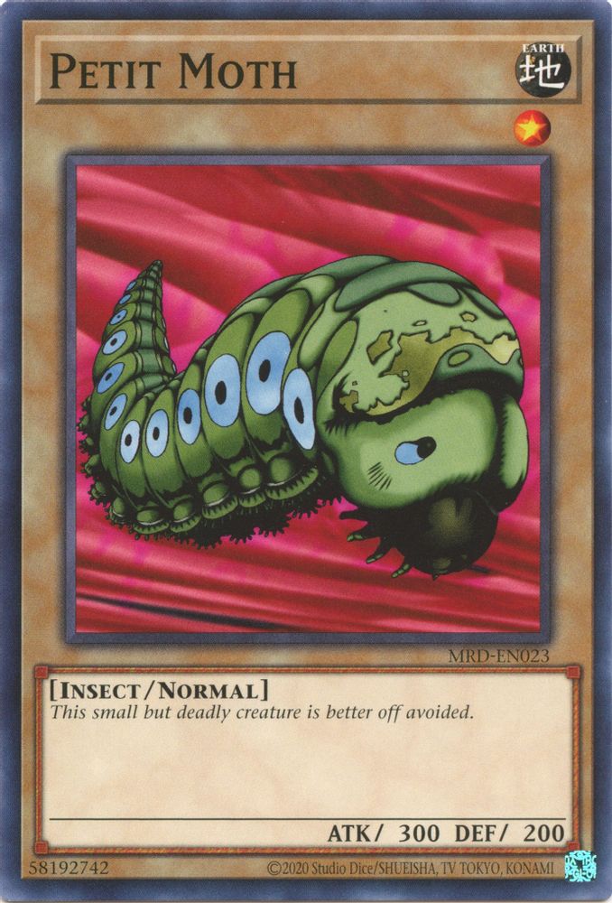 Petit Moth (MRD-EN023) - Common