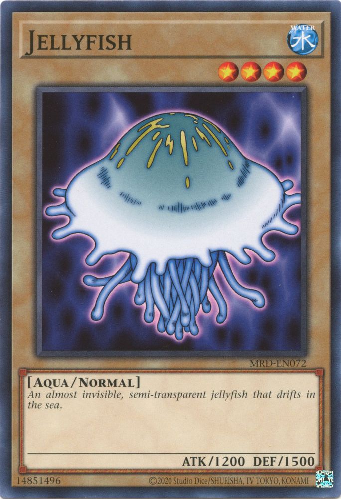 Jellyfish (MRD-EN072) - Common