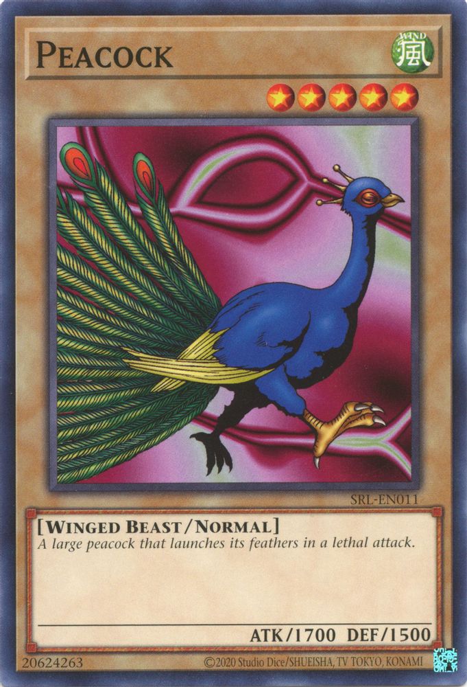 Peacock (SRL-EN011) - Common