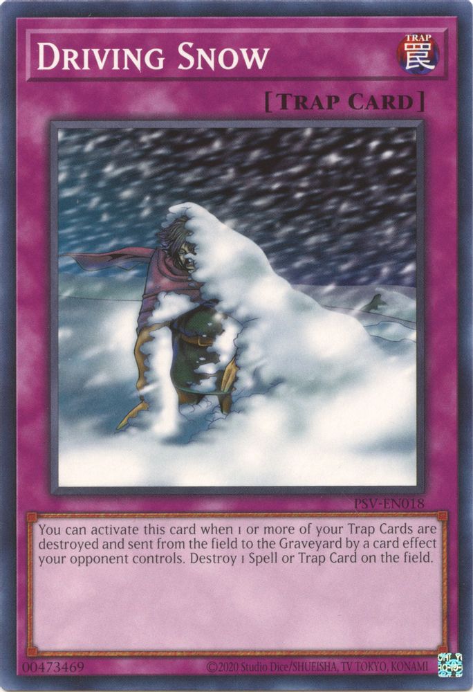 Driving Snow (PSV-EN018) - Common
