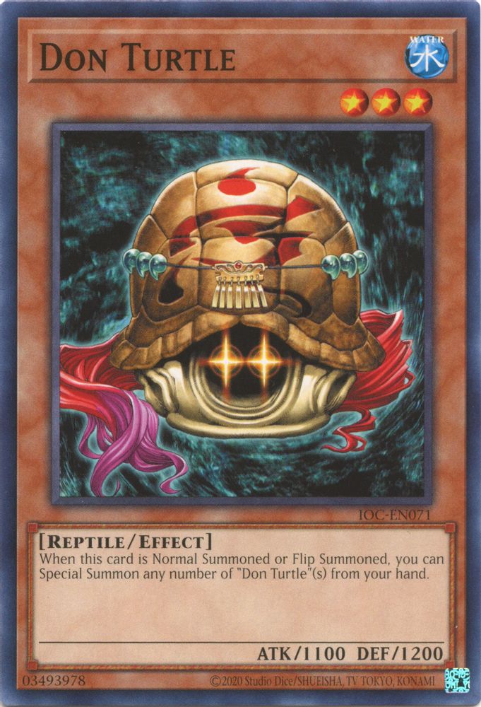 Don Turtle (IOC-EN071) - Common