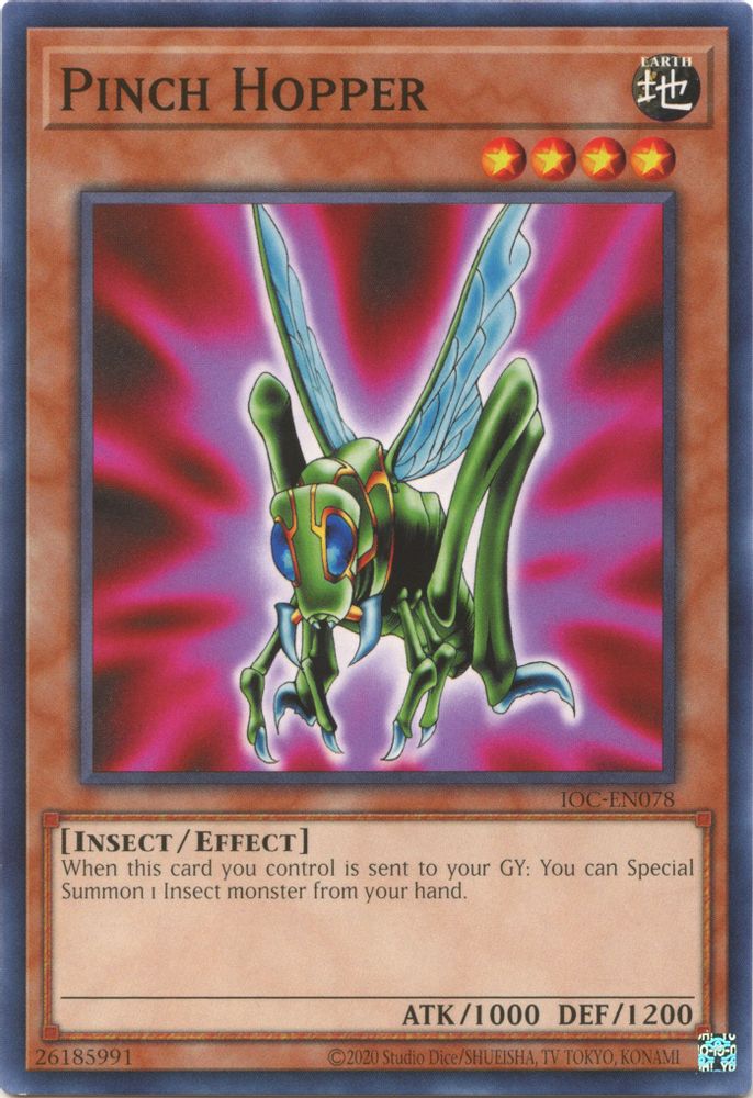 Pinch Hopper (IOC-EN078) - Common