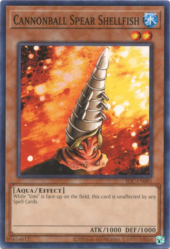 Cannonball Spear Shellfish (IOC-EN085) - Common