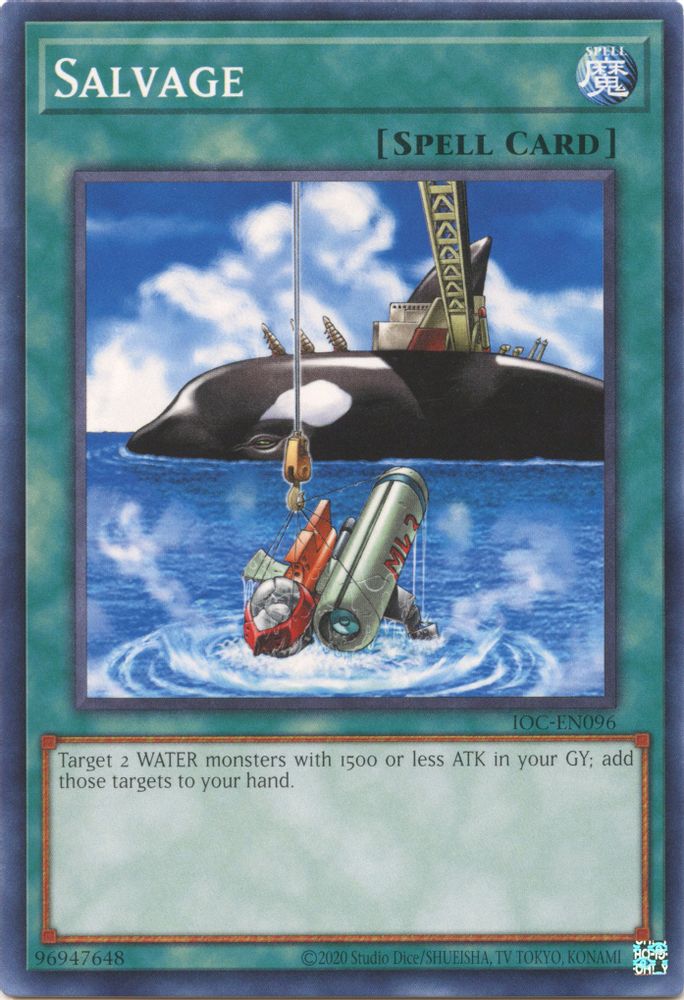 Salvage (IOC-EN096) - Common